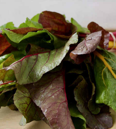 Rainbow Chard