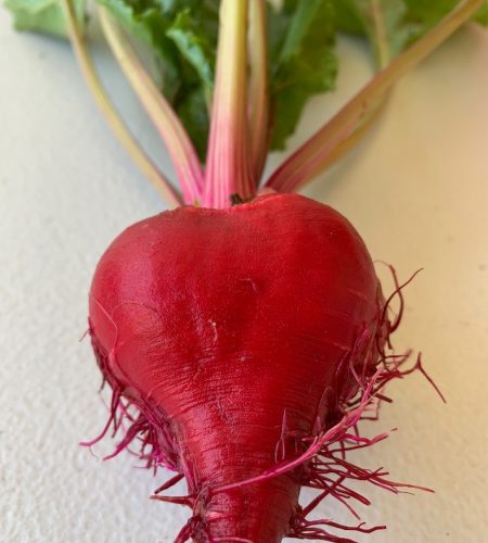 Alan foods beetroot