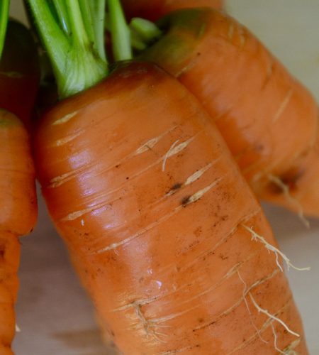 Alan foods carrot