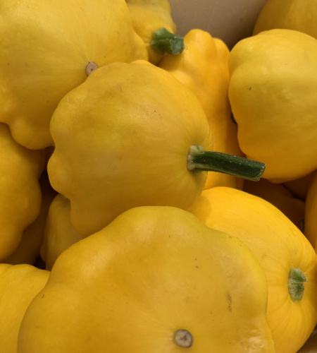 alan foods squash