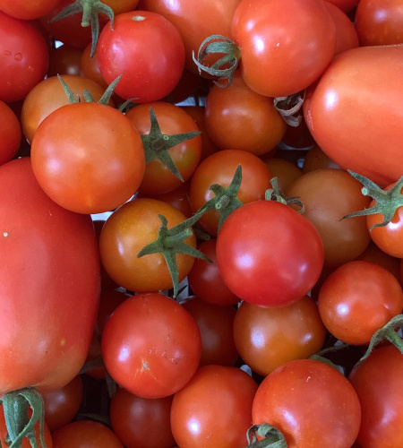 alan foods tomatoes