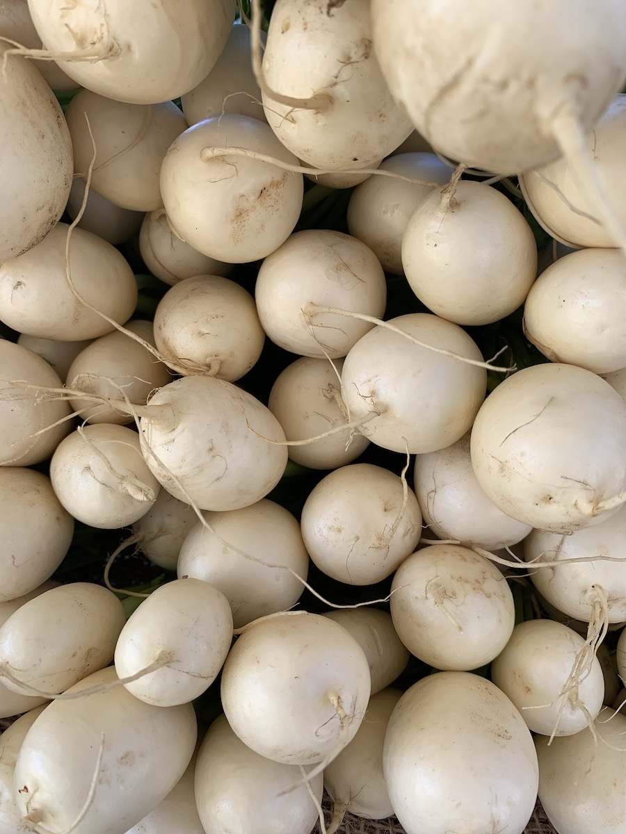 Salad Turnip